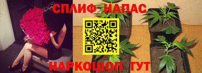 соль ск Кинель