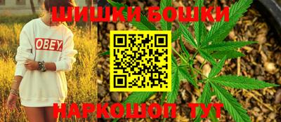 2c-b Кингисепп