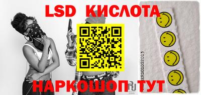 2c-b Кингисепп