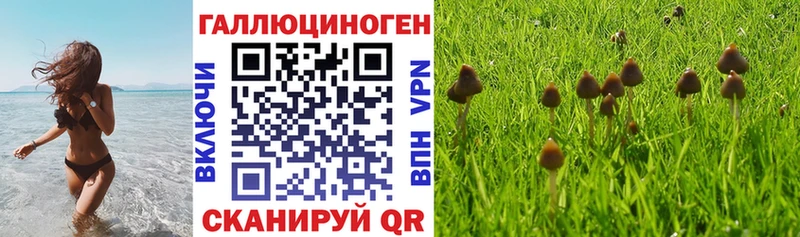 Купить закладки  Кузнецк  Галлюциногенные грибы ЛСД 