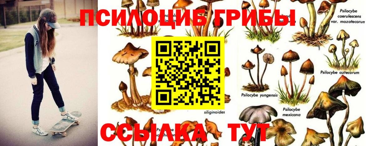 Псилоцибиновые грибы Magic Shrooms  Галлюциногенные грибы ЛСД  Кузнецк  Вход с VPN 