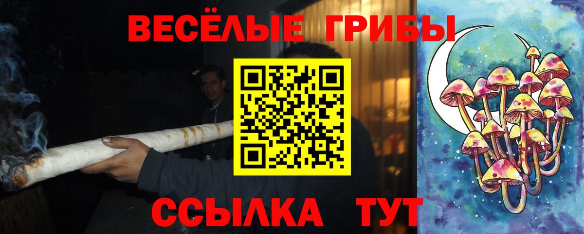 Галлюциногенные грибы GOLDEN TEACHER Кузнецк